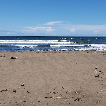 Alma Del Bosque Hotel Tortuguero Ngoại thất bức ảnh