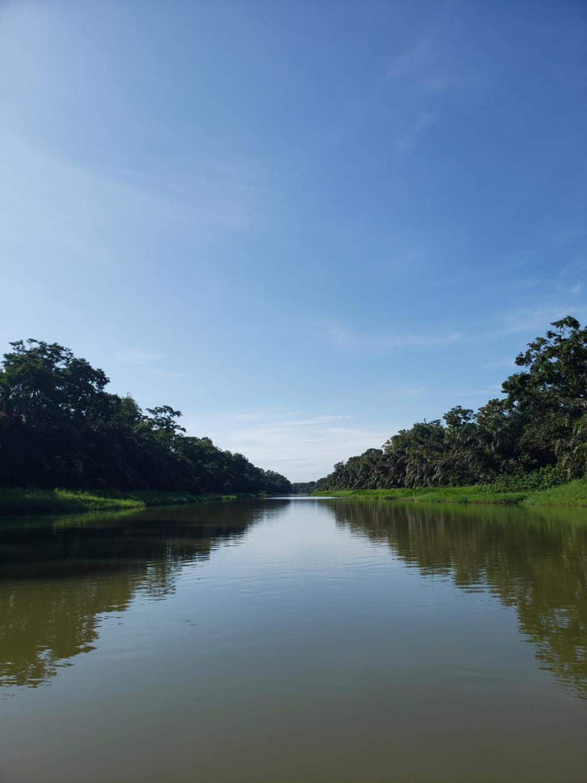 Alma Del Bosque Hotel Tortuguero Ngoại thất bức ảnh